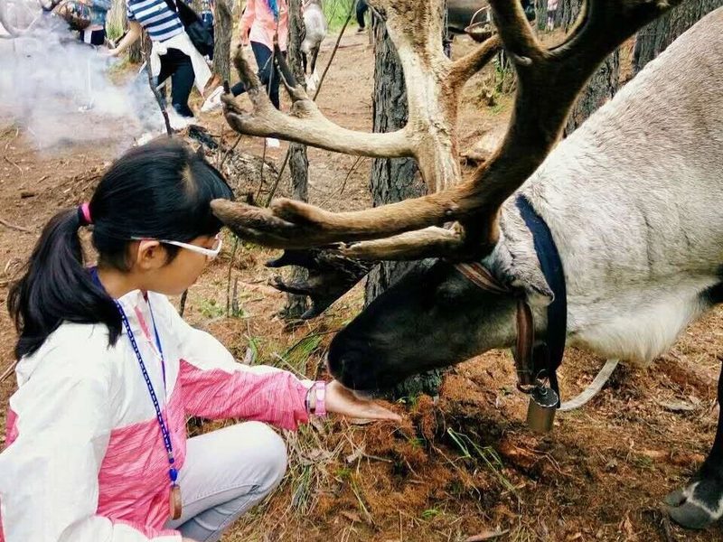 驴屋旅途故事 游记|深秋,想念呼伦贝尔的辽阔