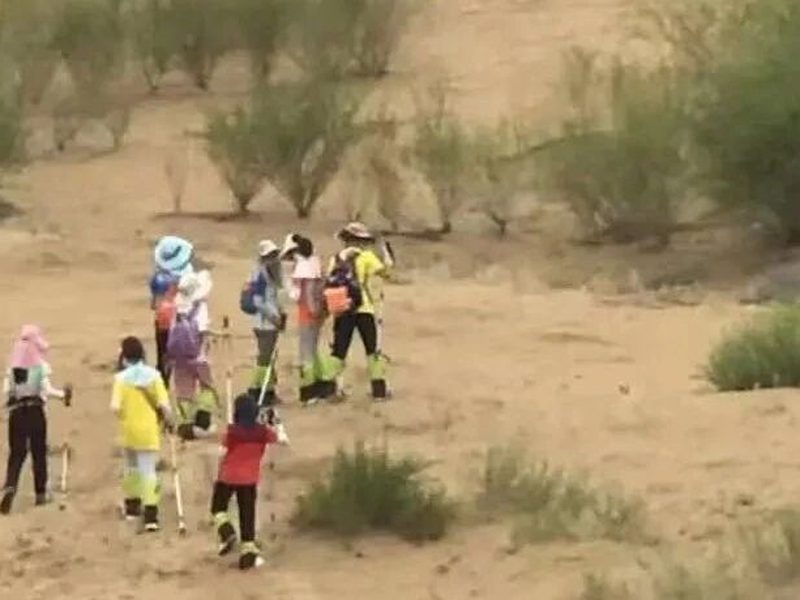 驴屋旅途故事 2021征文▪游记9｜库布奇沙漠之旅