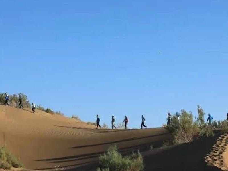 驴屋旅途故事 2021征文▪游记19|在玄奘之路上挥洒汗水与青春的日子