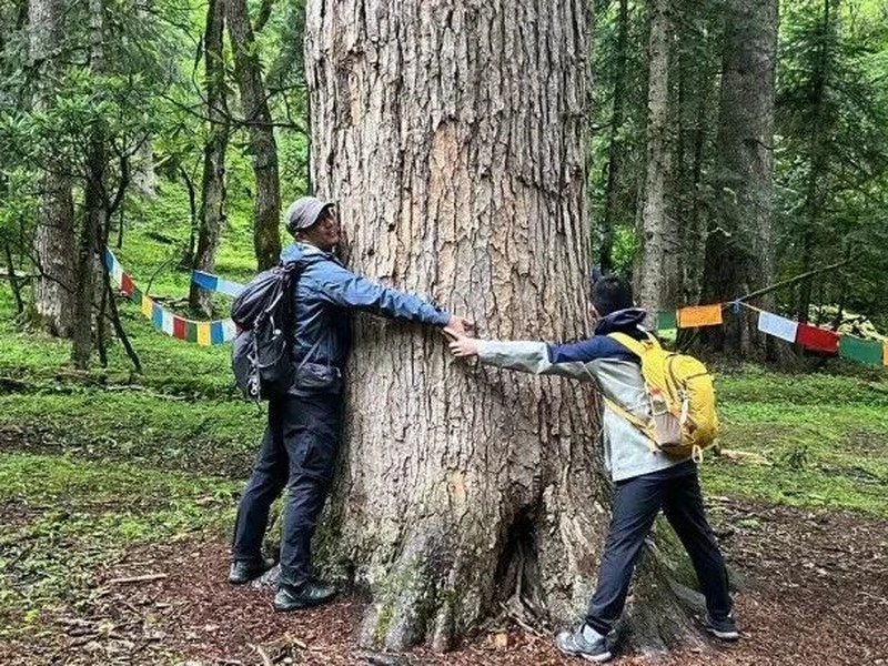 驴屋旅途故事 『暑期征文04』一道美丽的风景线(陈梓熠)
