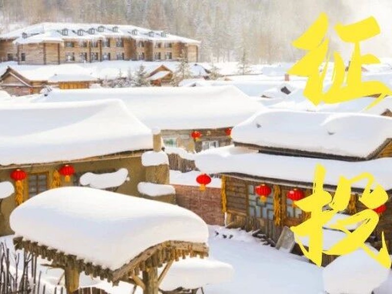 驴屋旅途故事 征文投稿——2024寒假之哈尔滨雪乡游记(邱奕玮)