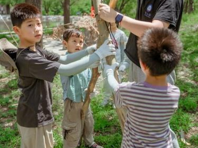驴屋独立营 荒野建造家 幻夜庇护所 营地搭建