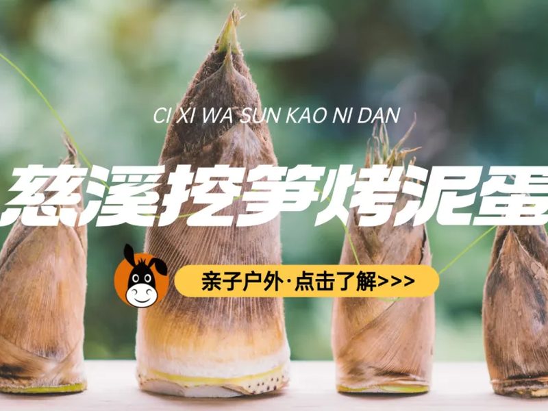 驴屋户外 慈溪挖春笋 烤泥蛋 桃花岭古道