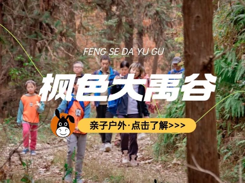 驴屋户外 大禹谷徒步 红枫水杉 秋色林场