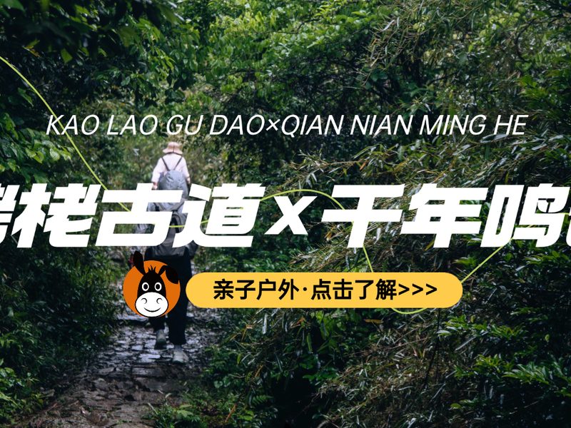 驴屋户外 栲栳古道徒步 春溪环徒小众山野