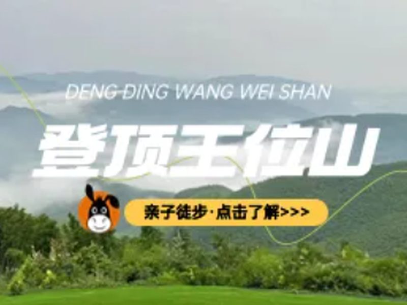 驴屋户外 王位山徒步 观竹海品茶香