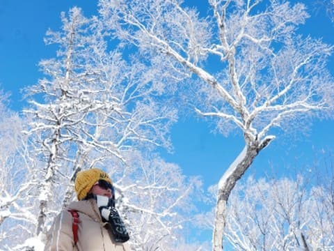 玩雪戏雪