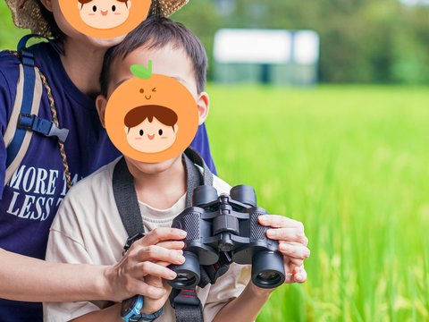 伏那徒步·明仕稻田