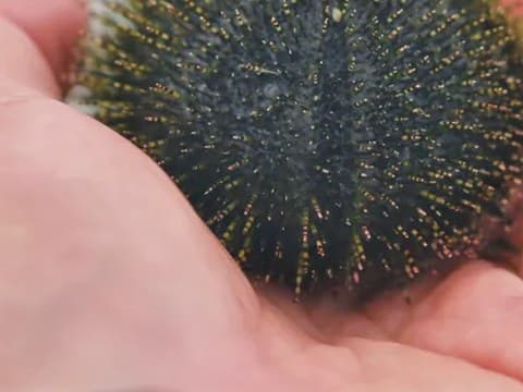 龙门激浪
