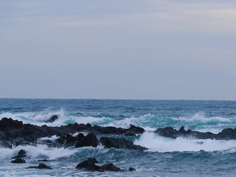 济州文化日