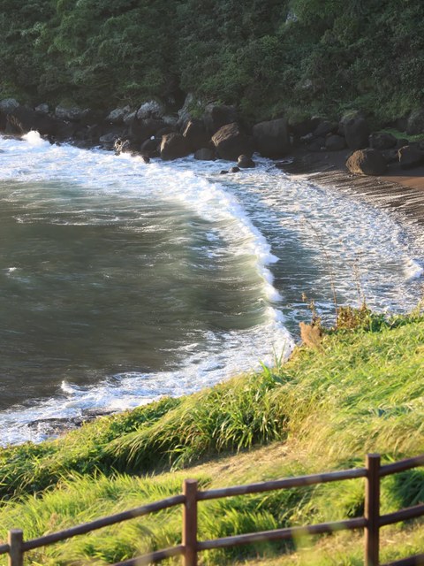 追风济州岛·徒步汉拿山+偶来小道+韩剧场景