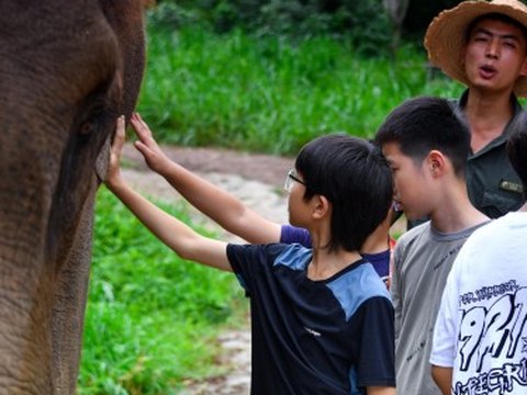 亚洲象博物馆