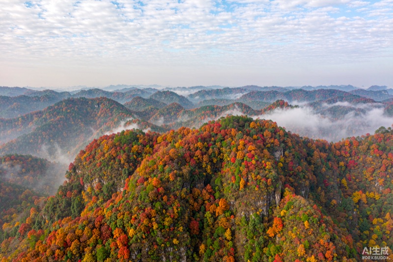金佛山彩林