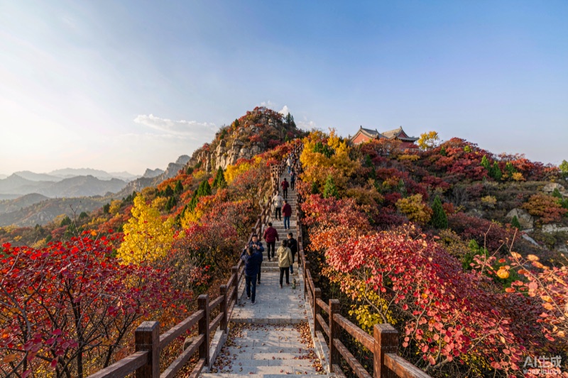 朝阳山今天起免票:一个月,无预约门槛 · ha
