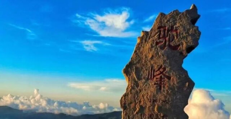 漫山红叶