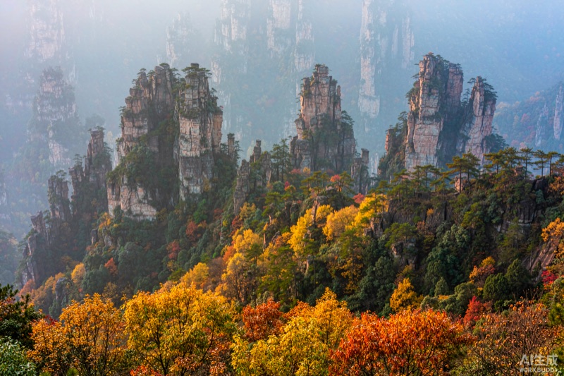 十条线路:把秋天拆成十个可以走的主题 · hn
