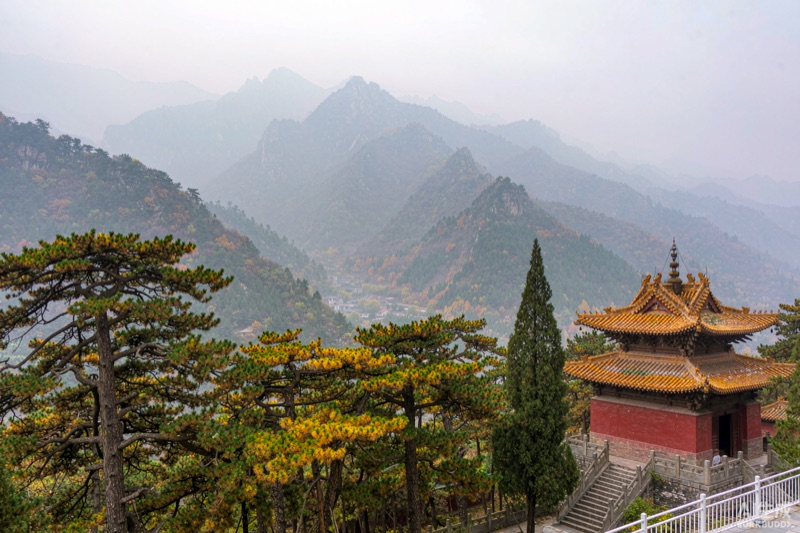 贺兰山岩画