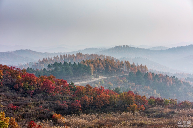 六盘山秋林，红黄交织的落叶树漫上山坡，薄雾里层叠山脊远去，一条空寂的山径穿林而过
