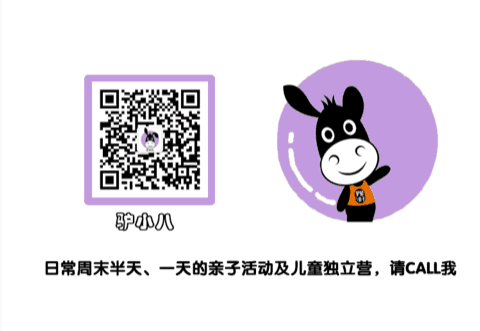 驴小八 · 周末活动咨询